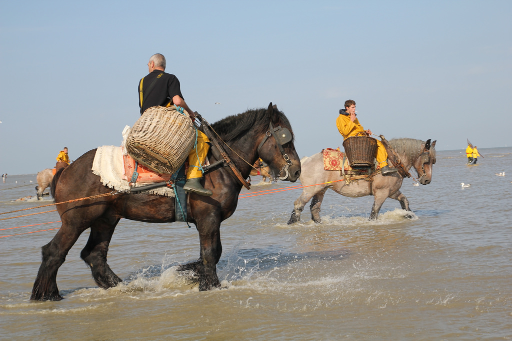 Oostduinkerke